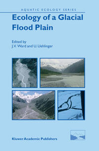 Vorderes Coverbild Ecology of a Glacial Flood Plain