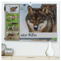 Vorderes Coverbild unter Wölfen (hochwertiger Premium Wandkalender 2025 DIN A2 quer), Kunstdruck in Hochglanz