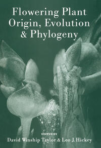 Vorderes Coverbild Flowering Plant Origin, Evolution & Phylogeny