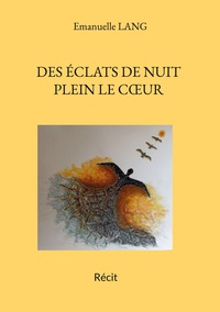 Vorderes Coverbild Des éclats de nuit plein le coeur