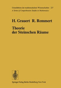 Vorderes Coverbild Theorie der Steinschen Räume