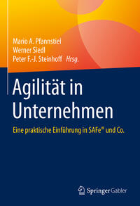 Vorderes Coverbild Agilität in Unternehmen