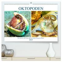 Vorderes Coverbild Oktopoden. Drei Herzen, acht Arme und das Gehirn im ganzen Körper (hochwertiger Premium Wandkalender 2025 DIN A2 quer), Kunstdruck in Hochglanz