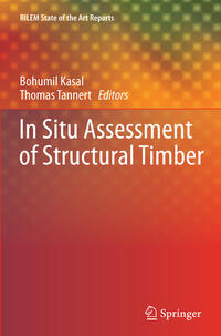 Vorderes Coverbild In Situ Assessment of Structural Timber