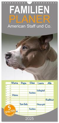 Vorderes Coverbild Familienplaner 2025 - American Staff und Co. mit 5 Spalten (Wandkalender, 21 x 45 cm) CALVENDO