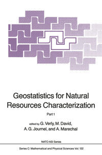 Vorderes Coverbild Geostatistics for Natural Resources Characterization
