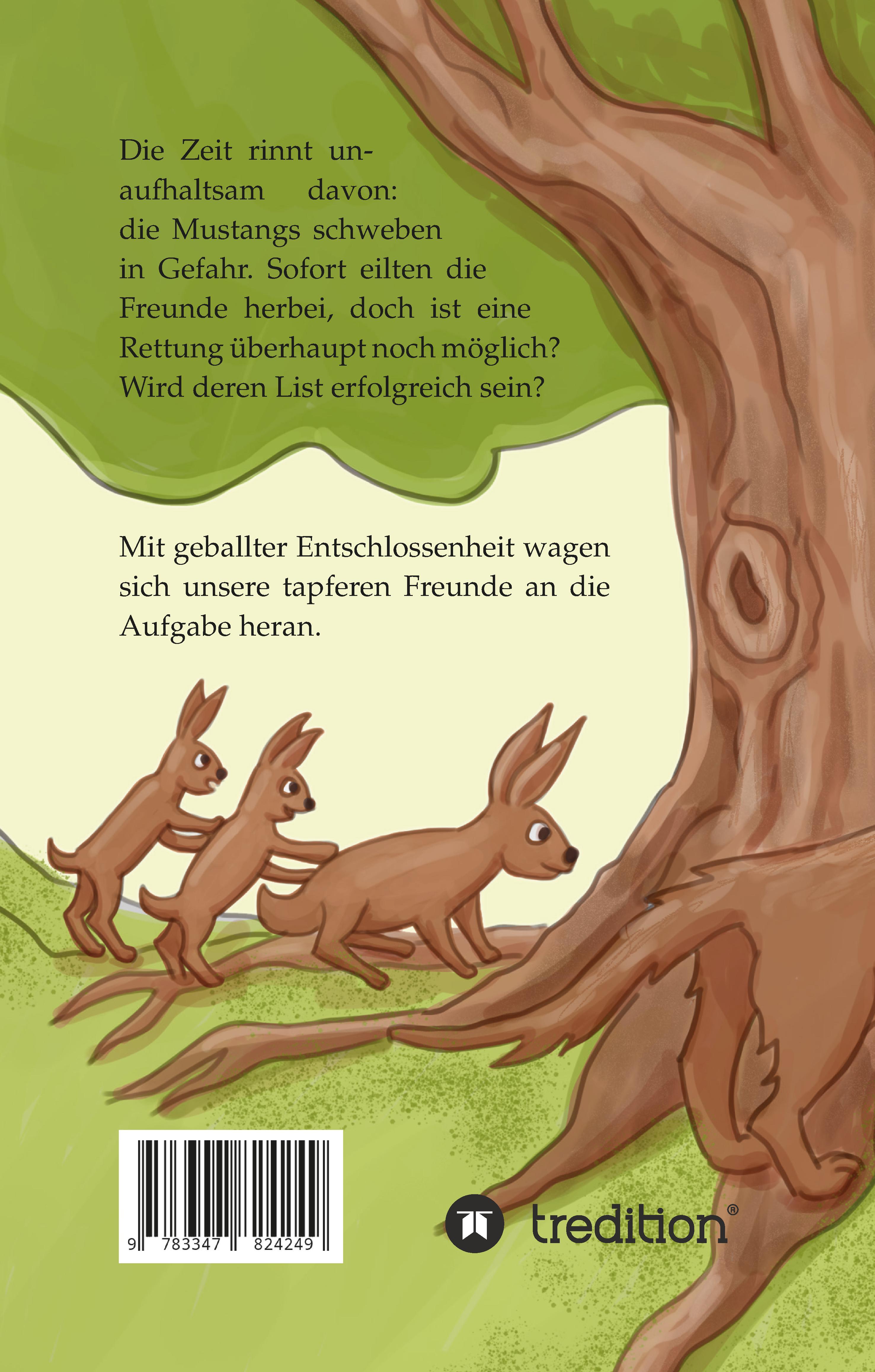 Rückseitencover Lucias Abenteuer 2