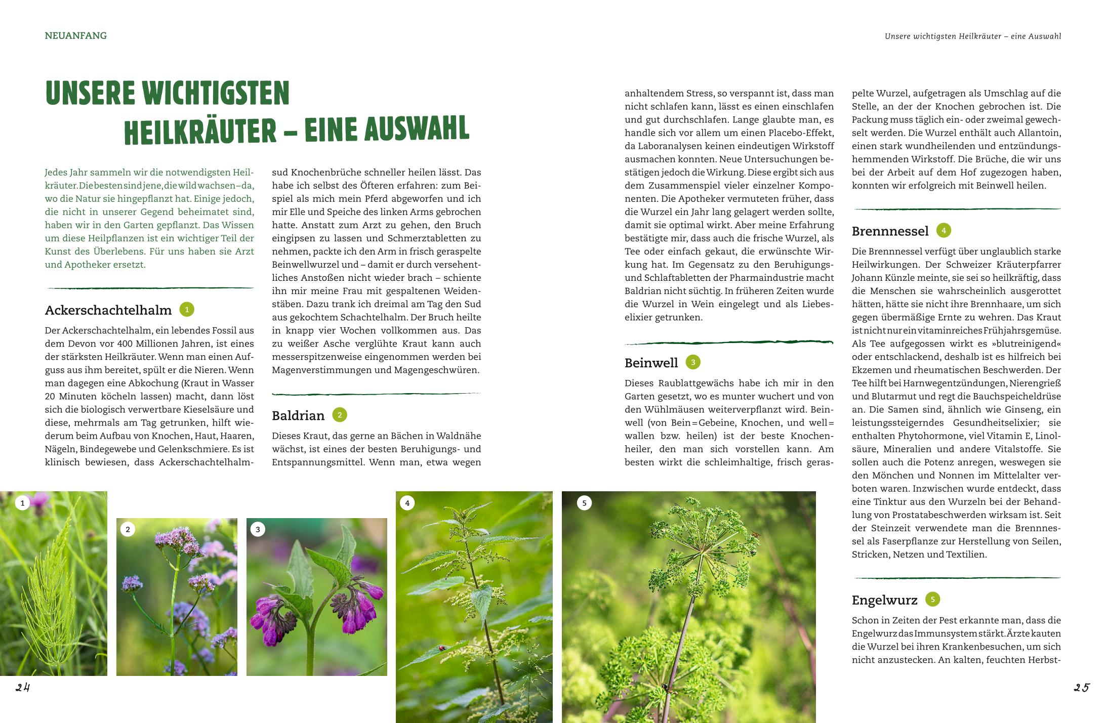 Beispielinhalt (Bild) Der Selbstversorger: Mein Gartenwissen