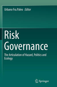 Vorderes Coverbild Risk Governance