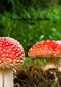 Vorderes Coverbild Das geheime Leben der Pilze