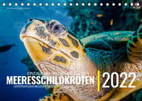 Vorderes Coverbild Einblicke in die Welt der Meeresschildkröten (Tischkalender immerwährend DIN A5 quer)