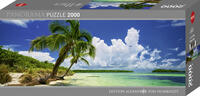 Vorderes Coverbild Paradise Palms Puzzle