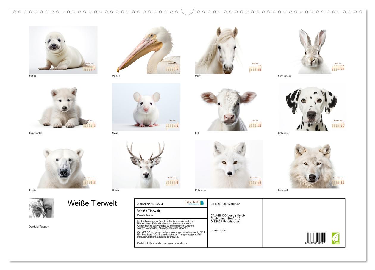 Beispielinhalt (Bild) Weiße Tierwelt (Wandkalender 2025 DIN A2 quer), CALVENDO Monatskalender