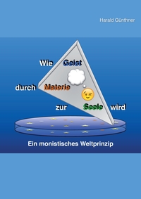 Vorderes Coverbild Wie Geist durch Materie zur Seele wird
