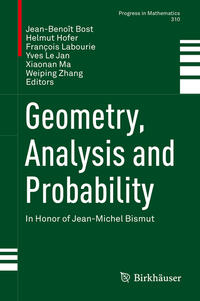 Vorderes Coverbild Geometry, Analysis and Probability