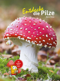 Vorderes Coverbild Entdecke die Pilze