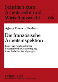 Vorderes Coverbild Die französische Arbeitsinspektion