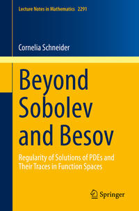 Vorderes Coverbild Beyond Sobolev and Besov