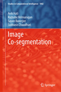 Vorderes Coverbild Image Co-segmentation