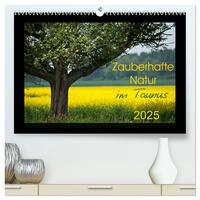 Vorderes Coverbild Zauberhafte Natur im Taunus (hochwertiger Premium Wandkalender 2025 DIN A2 quer), Kunstdruck in Hochglanz