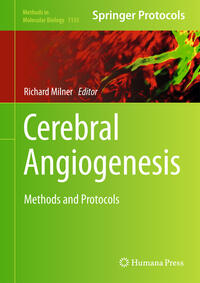 Vorderes Coverbild Cerebral Angiogenesis