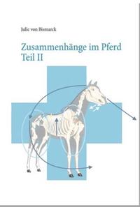 Vorderes Coverbild Zusammenhänge Teil II