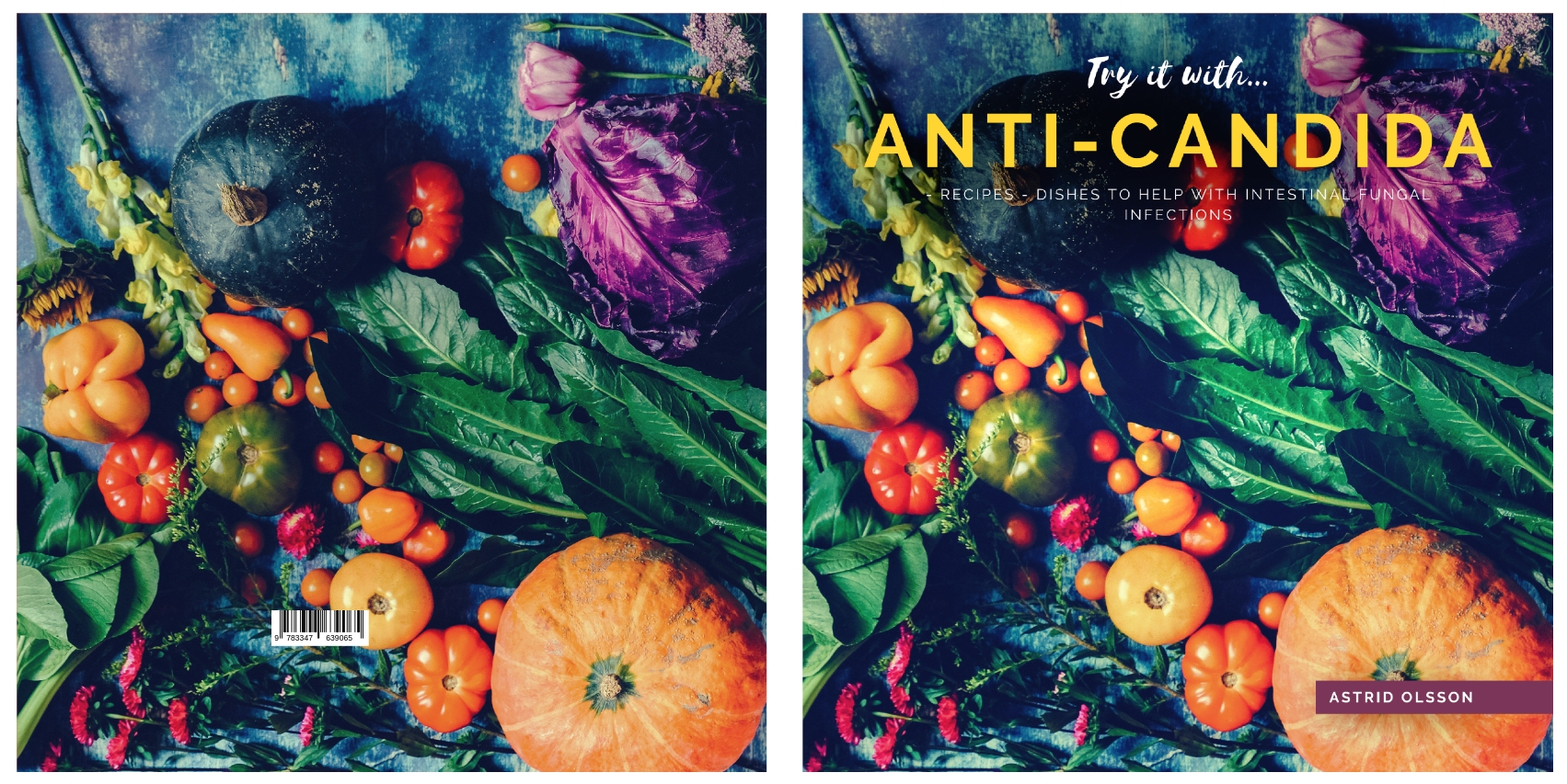Gesamtes Coverbild Try it with...Anti-Candida-Recipes