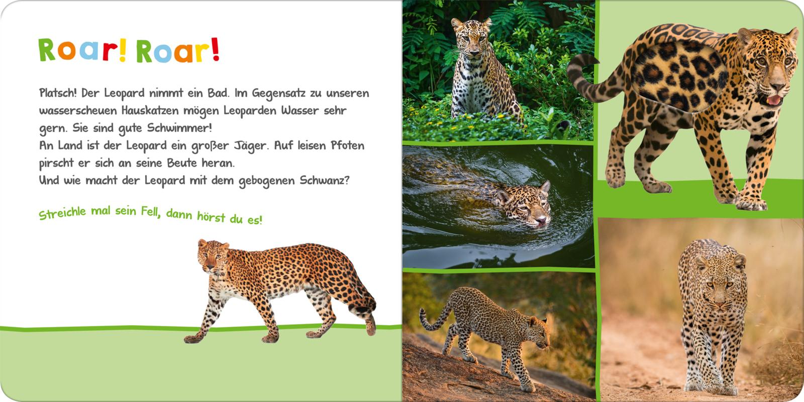 Beispielinhalt (Bild) Hör mal rein, wer kann das sein? – Im Dschungel
