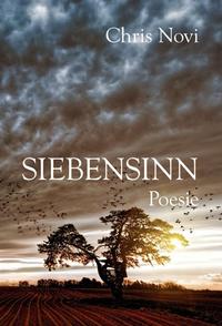 Vorderes Coverbild Siebensinn