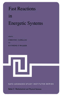 Vorderes Coverbild Fast Reactions in Energetic Systems