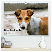 Vorderes Coverbild Straßenhunde (hochwertiger Premium Wandkalender 2026 DIN A2 quer), Kunstdruck in Hochglanz