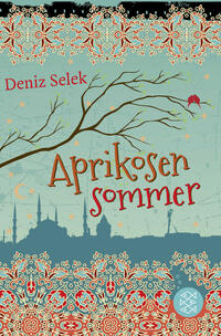 Vorderes Coverbild Aprikosensommer
