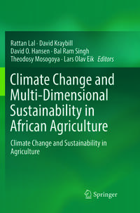 Vorderes Coverbild Climate Change and Multi-Dimensional Sustainability in African Agriculture