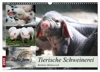 Vorderes Coverbild Tierische Schweinerei (Wandkalender 2025 DIN A3 quer), CALVENDO Monatskalender