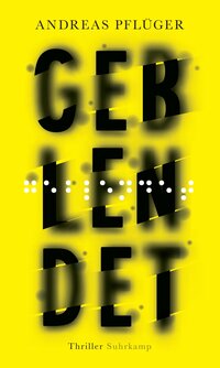 Vorderes Coverbild Geblendet