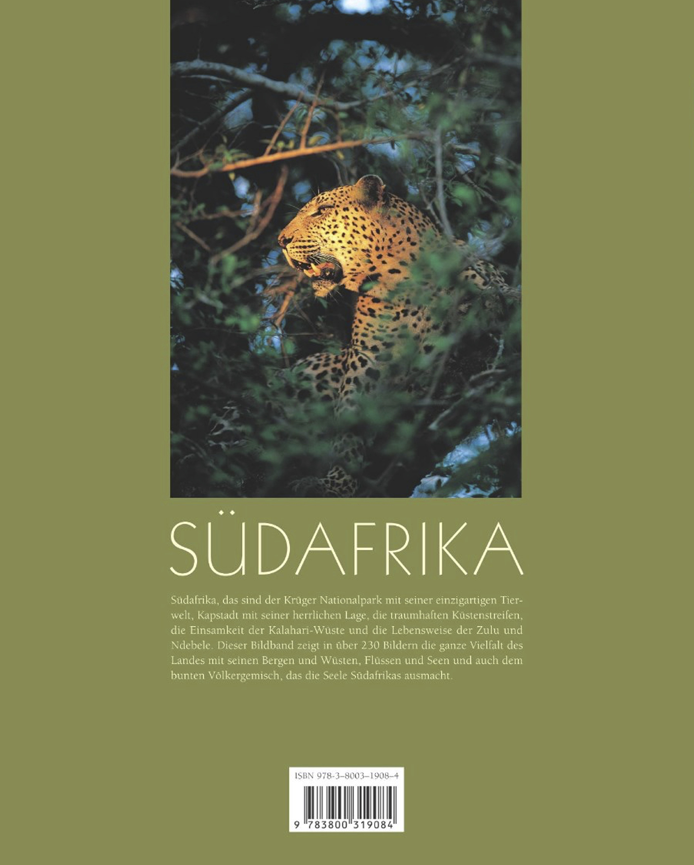 Rückseitencover Horizont SÜDAFRIKA