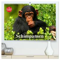 Vorderes Coverbild Schimpansen (hochwertiger Premium Wandkalender 2025 DIN A2 quer), Kunstdruck in Hochglanz