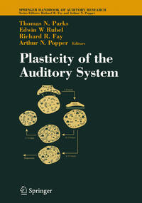 Vorderes Coverbild Plasticity of the Auditory System
