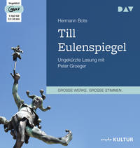 Vorderes Coverbild Till Eulenspiegel. Ein kurzweiliges Buch von Till Eulenspiegel aus dem Lande Braunschweig in 96 Historien
