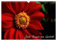 Vorderes Coverbild Jede Blume ein Gedicht (Wandkalender 2025 DIN A3 quer), CALVENDO Monatskalender