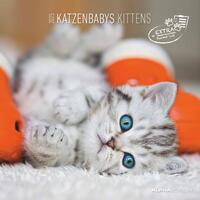 Vorderes Coverbild Alpha Edition - Katzenbabys 2025 Broschürenkalender, 30x30cm, Wandkalender mit Platz für Notizen und Termine, schöne Motive von Katzen-Babys, Monatsübersicht und Ferientermine DE/AT/CH
