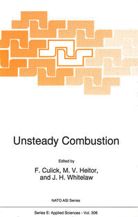 Vorderes Coverbild Unsteady Combustion