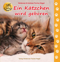 Vorderes Coverbild Ein Kätzchen wird geboren
