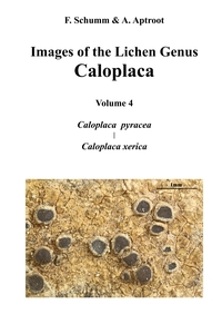 Vorderes Coverbild Images of the Lichen Genus Caloplaca, Vol4