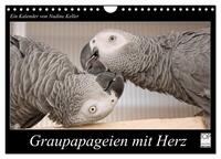 Vorderes Coverbild Graupapageien mit Herz (Wandkalender 2025 DIN A4 quer), CALVENDO Monatskalender