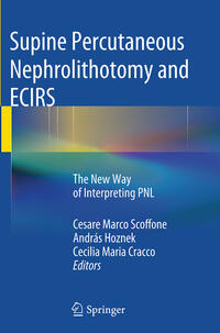 Vorderes Coverbild Supine Percutaneous Nephrolithotomy and ECIRS
