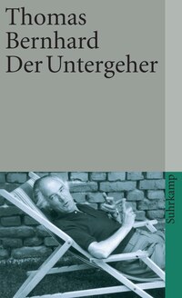 Vorderes Coverbild Der Untergeher