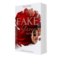Vorderes Coverbild Fake Game