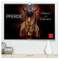 Vorderes Coverbild Eleganz und Schönheit - Pferde (hochwertiger Premium Wandkalender 2026 DIN A2 quer), Kunstdruck in Hochglanz