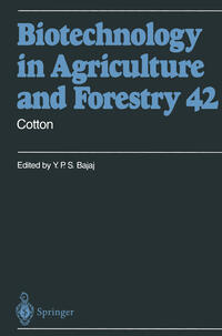 Vorderes Coverbild Cotton